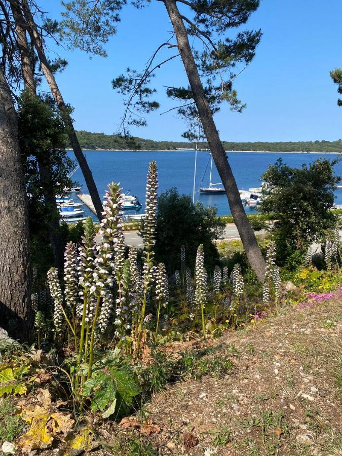 Apartments Tasha Mali Losinj Exterior photo